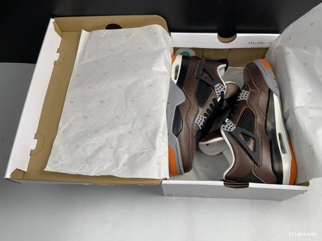 (W) Retro Starfish CW7183-100 Jordan 4 Air 0715
